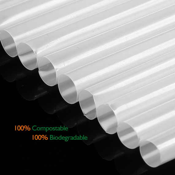 product-571-571 product-571-571